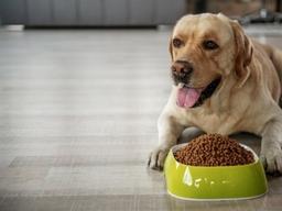 인도 펫푸드, 5년간 연평균 15% 증가 전망