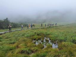 하늘 아래 맞닿은 <strong>거대</strong> 습지…4500살 '용늪' 속으로