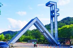 “자퇴생 330명” 서울대 학생들 학교 떠나 어디 갔나 봤더니