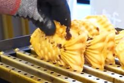 한때 체인점까지 만들어졌던 붕어빵 창업, 초기 비용은 이렇습니다