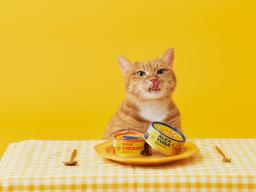 반려동물과 함께 먹는 ‘참치<strong>캔</strong>’ 10만 개 팔렸다