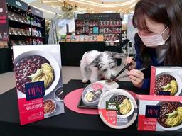 ‘자장면 먹으러 왔어요’…하림 <strong>더미식</strong>X하림펫푸드 더리얼 '팝업스토어' 북적