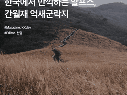 영남 알프스 :: 한국에서 만끽하는 알프스, 간월재 <strong>억새</strong>군락지