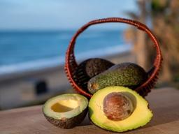 케냐의 <strong>아보카도</strong>, 새로운 전략 수출품 될까