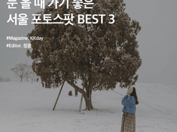 겨울 <strong>서울</strong> 놀거리 :: 눈 올 때 가기 좋은 <strong>서울</strong> 포토스팟 BEST 3