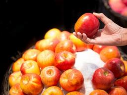 <strong>설명절</strong> 과일, 똑 소리나게 고르는 방법