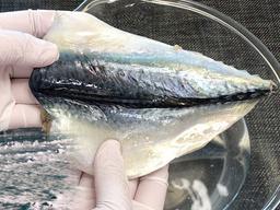 10명 중 9명이 모르는 냉동<strong>생선</strong> 초특급 해동비법