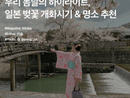 4월 해외여행 추천 :: 우리 봄날의 하이라이트, <strong>일본</strong> 벚꽃 개화시기 & <strong>명소</strong> 추천