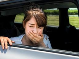 나는 차만 타면 멀미 나는데 운전자는 멀미 안 하는 이유