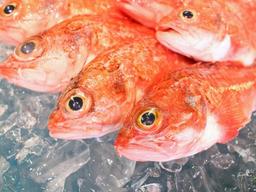 지금 가장 고소한 봄 제철 수산물 ‘금태·<strong>뿔소라</strong>’