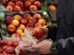 “신비·납작 복숭아 구해요”…‘약켓팅’ 이은 ‘복켓팅’ 치열