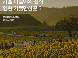 서울 근교 여행 :: 가을 나들이의 정석, 연천 가볼만한곳 3