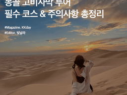 <strong>몽골</strong> 고비사막 투어 :: 필수 코스 & 주의사항 총정리