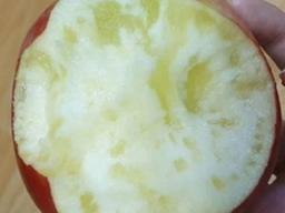 "꿀이라던데.." 사과와 배 과실에 누런 <strong>얼룩</strong> 진짜 먹어도 되는걸까?