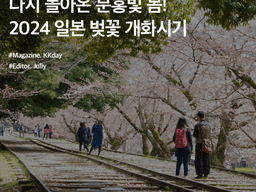 다시 돌아온 분홍빛 봄! 2024 일본 벚꽃 개화시기 총정리