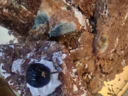 “일주일 방치”…무인매장 케이크 먹고 응급실 실려가