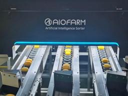 '통통통' 두들겨 볼 필요 없어요...잘 익은 수박, AI가 골라놨으니