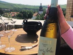 “1년에 120병만 만난다”…비싸도 인기만점, 스위트와인