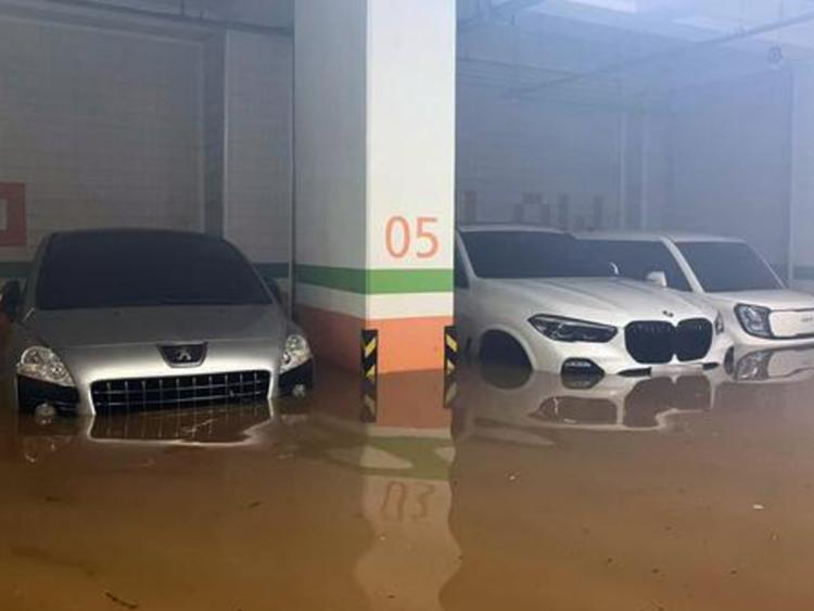 "내 차 어쩌지?"<br>폭우에 물 찰 때 대처법!