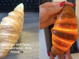 테무서 산 크루아상 무드등, 진짜 빵? <strong>개미</strong> 수백 마리가…