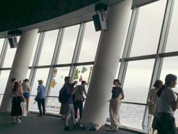 <strong>도쿄 스카이트리</strong> 다녀온 후기! <strong>전망대</strong> 예약, 맛집, 입장, 지각