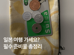 일본 여행 준비물 리스트 :: 여행 내내 요긴하게 쓰이는 꿀템은?