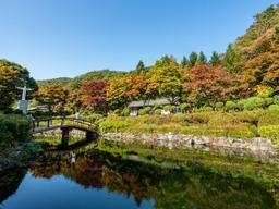 AI도 추천한 명불허전 설악산·내장산… 10대 단풍 성지는