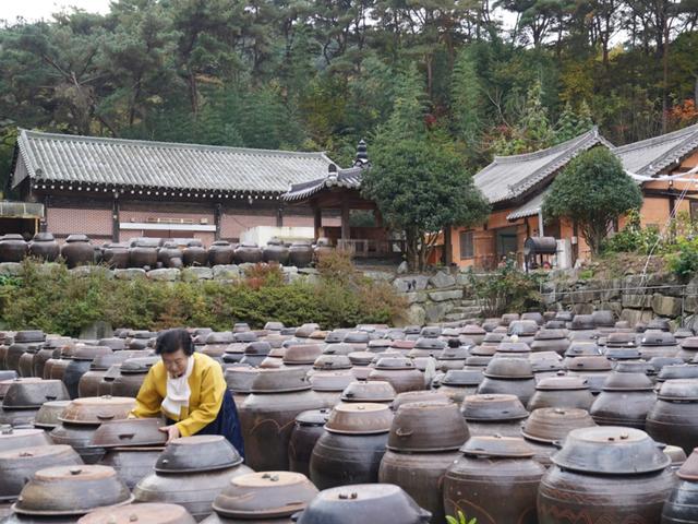 ‘흑백요리사’ ‘유네스코 세계유산’ 한국의 전통 장맛을 찾아 떠나는 여행