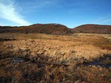 한국 100대 명산, 겨울 산행<br>추천 코스 4곳