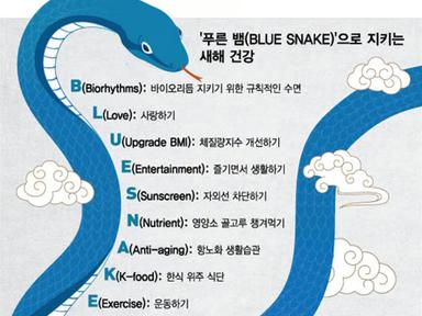 '푸른 뱀(BLUE SNAKE)'으로 새해 건강 지키세요