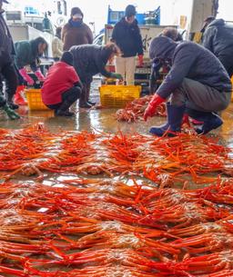 “대개 요맘때 울진<strong>대게</strong> 먹지” 기다렸다 그 축제 [함영훈의 멋·맛·쉼]