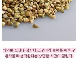 조선시대에 <strong>감자</strong>를 구황작물 바닥수준으로 본 이유