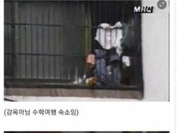 낭만원툴 시절인 <strong>80년대</strong> 수학여행 수준 ㅋㅋㅋㅋ