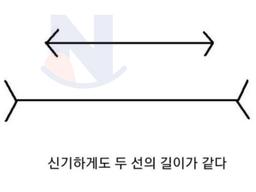 신기하게도 두선의 길이는 <strong>같다</strong>