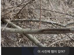 <strong>주작</strong>하다가 딱 걸린 챗지피티ㅋㅋㅋ