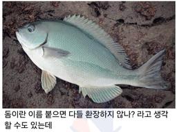 공짜로 줘도 안먹는 <strong>생선</strong>에서 제대로 환골탈태한 <strong>생선</strong>