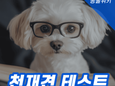 강아지가 천재견인지 테스트하는 방법 (feat. 2025년 최신판)