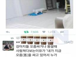 <strong>강아지</strong>가 볼일볼때 쳐다보는 이유.....ㄷㄷ