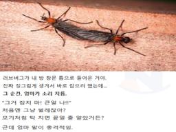 <strong>러브</strong><strong>버그</strong> 집에 들어왔는데 잡으면 안 되는 이유