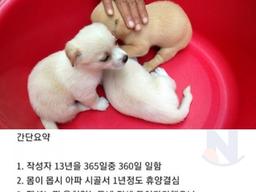 시골로 <strong>귀농</strong>하면 안되는 진짜이유 ㄷㄷㄷ