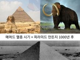 급 현타오는 이집트 <strong>역사</strong>수준