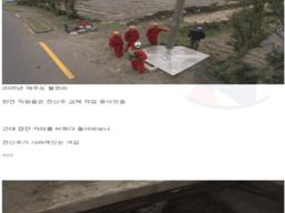 눈이 퇴화된 물고기가 발견된 <strong>제주도</strong>의 동굴ㄷㄷ