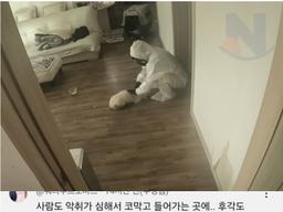 고독사 현장에서 누군가 오기만을 기다린 <strong>강아지</strong>...jpg
