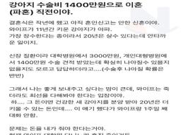 <strong>강아지</strong> 수술비 1,400만원 때문에 이혼 직전인 공무원