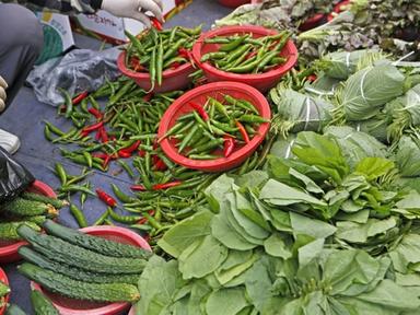 '빈혈 예방해야 하는 한국인이라면 필독..' 알고 보니 고기 섭취보다 훨씬 효과적이라는 '철분 덩어리' 채소