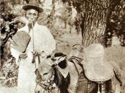 한반도에서 정말 소리 소문없이 멸종하게 된 <strong>동물</strong>