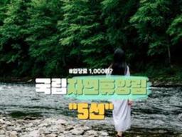 국립자연휴양림 모음집 ‘5선’ 몸과 마음이 산뜻한 힐링 산림 여행