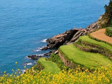 제주·부산 제치고 한국인이 고른 늦캉스 3대 여행지는?