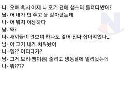 햄스터 때문에 <strong>이혼</strong>하게 생긴 부부