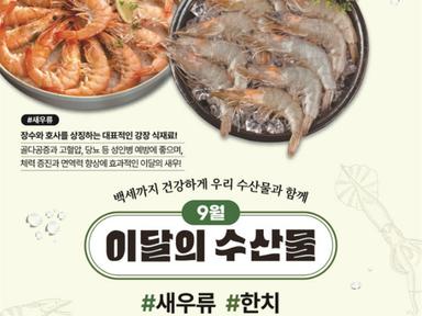 가을 제철 '새우·한치' 기력회복 '으뜸' [9월 수산물]